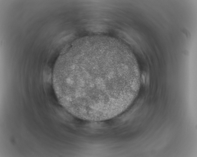 X0000113631251200910162008