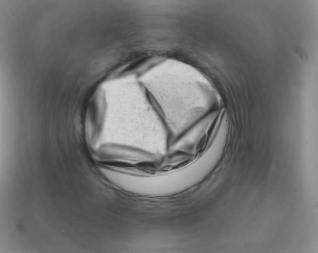 X0000113631252200910162008