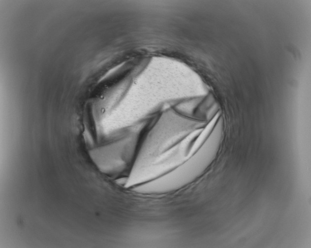 X0000113631253200910162008