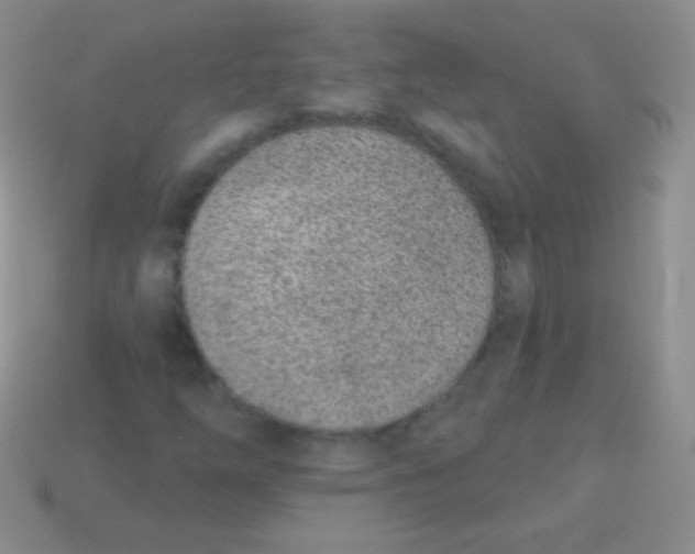 X0000113631254200910162008