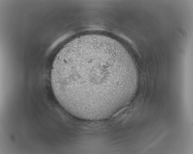 X0000113631255200910162008