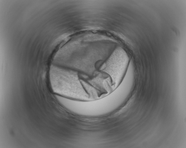 X0000113631257200910162008