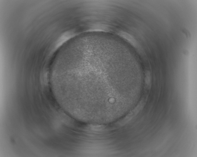 X0000113631258200910162008