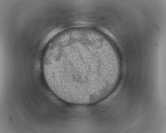 X0000113631259200910162008