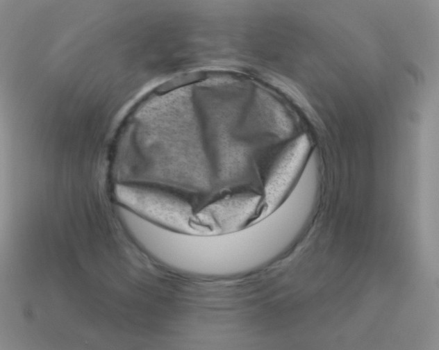 X0000113631260200910162008