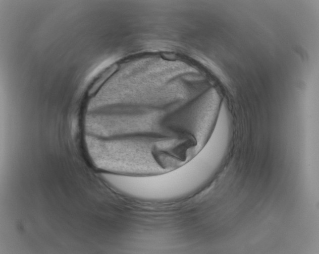 X0000113631261200910162008