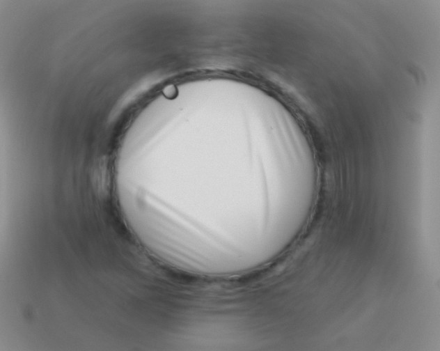 X0000113631262200910162008