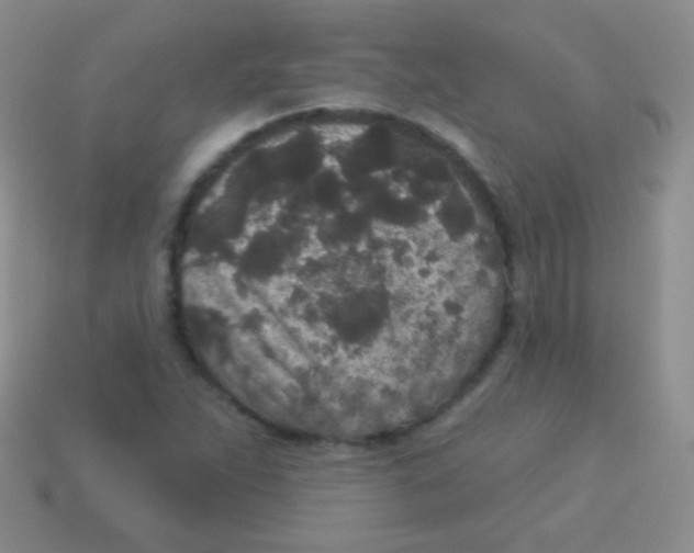 X0000113631263200910162008