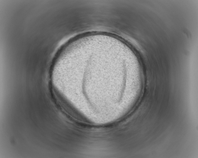 X0000113631264200910162008