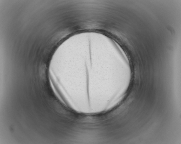 X0000113631265200910162008