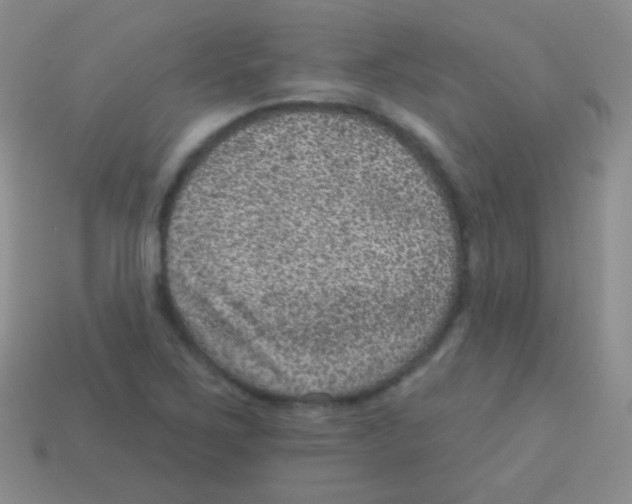 X0000113631267200910162007