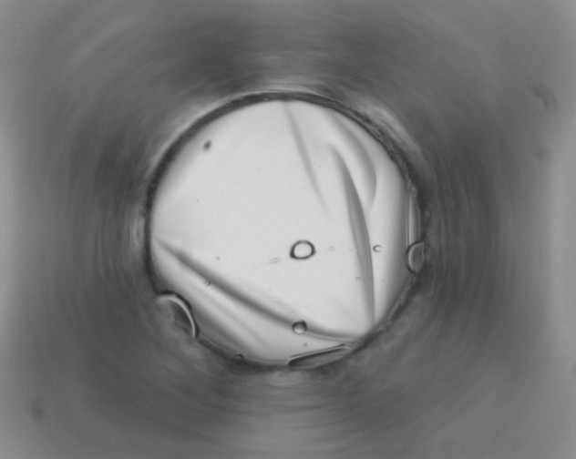 X0000113631268200910162007