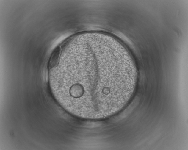 X0000113631269200910162007