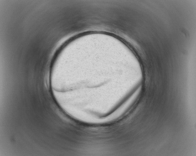 X0000113631272200910162007