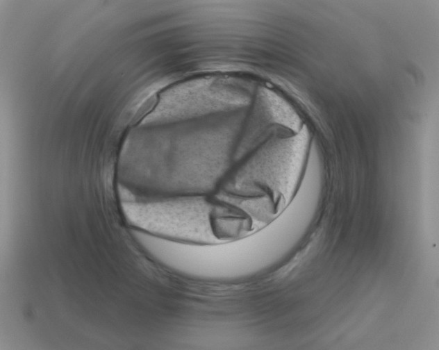 X0000113631273200910162007