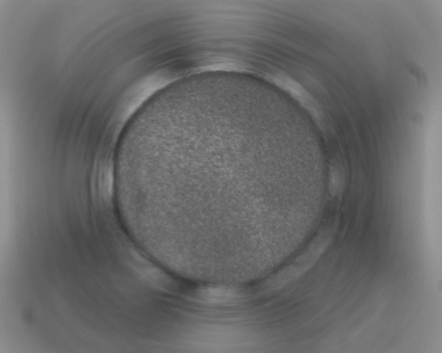 X0000113631274200910162007