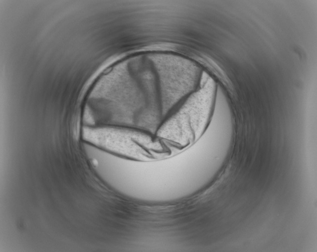 X0000113631276200910162007