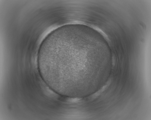 X0000113631278200910162007