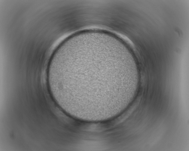 X0000113631279200910162007