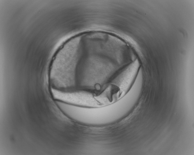 X0000113631280200910162007