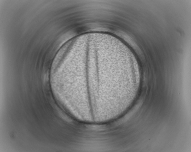 X0000113631281200910162007