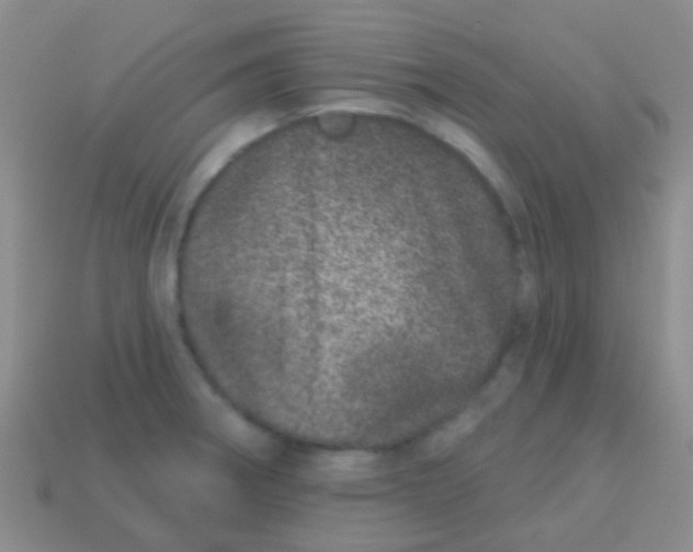 X0000113631282200910162007