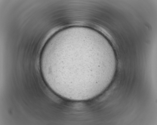 X0000113631283200910162007