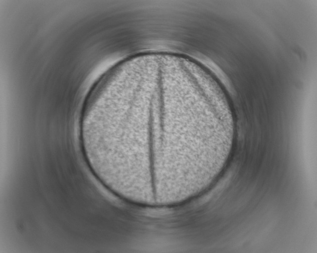 X0000113631285200910162007