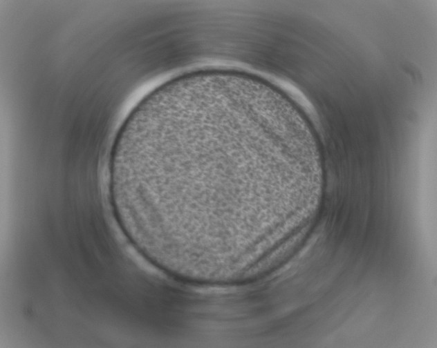 X0000113631287200910162007