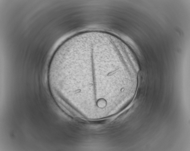 X0000113631288200910162007