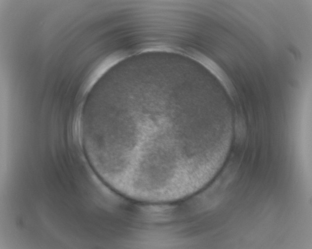 X0000113631290200910162007