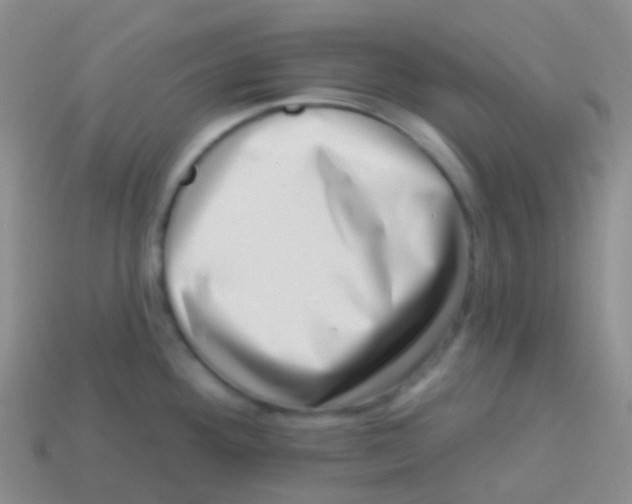 X0000113631292200910162007