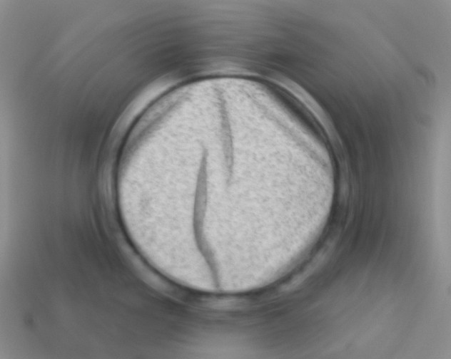 X0000113631293200910162007