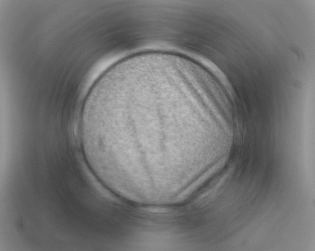 X0000113631295200910162007