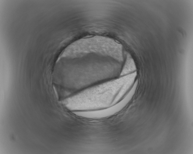 X0000113631297200910162006