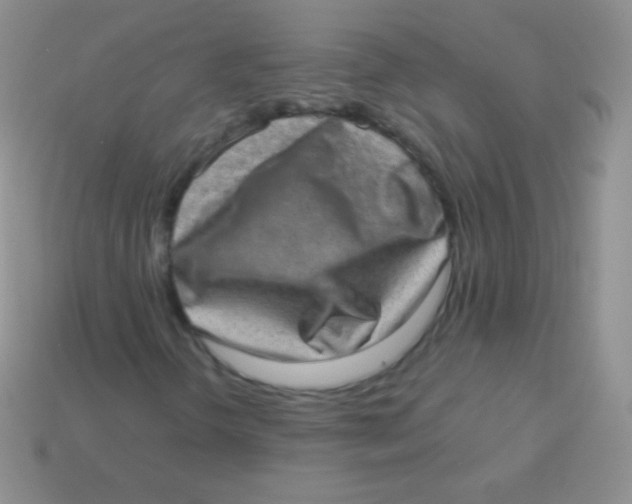 X0000113631298200910162006