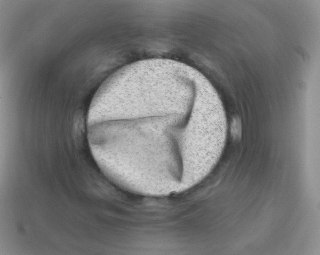 X0000113631299200910162006