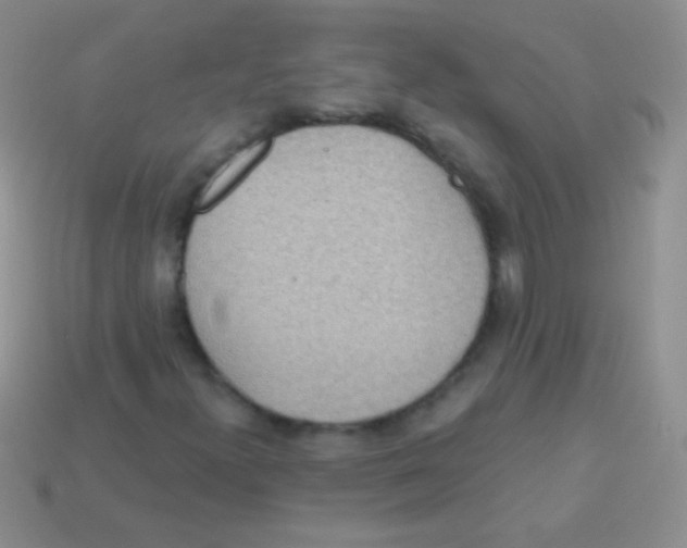 X0000113631300200910162006