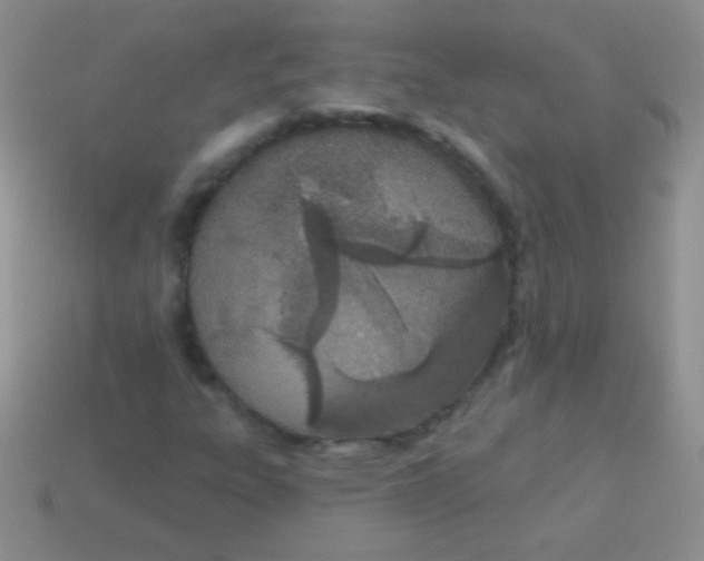 X0000113631303200910162006