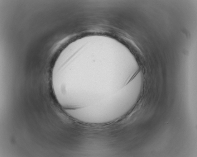 X0000113631304200910162006