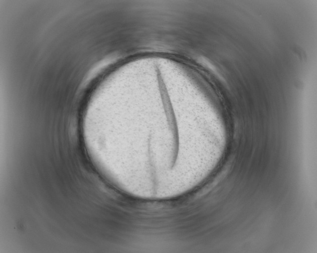 X0000113631307200910162007