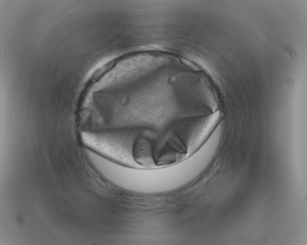 X0000113631308200910162007