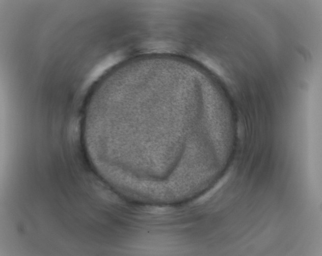 X0000113631309200910162007