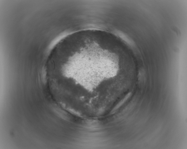 X0000113631310200910162007