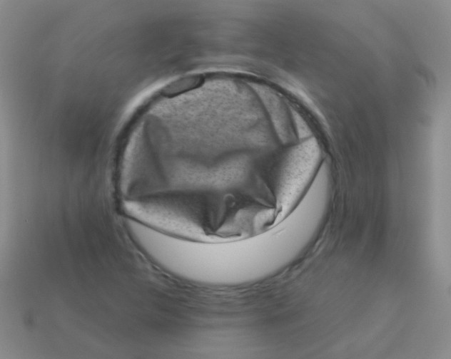 X0000113631312200910162007