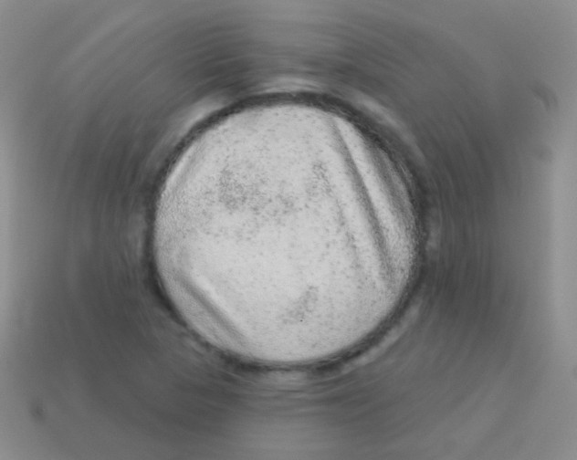 X0000113631313200910162007