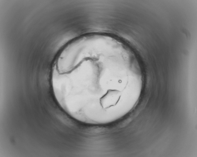 X0000113631314200910162007