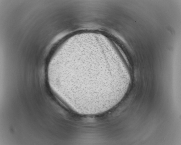 X0000113631315200910162007