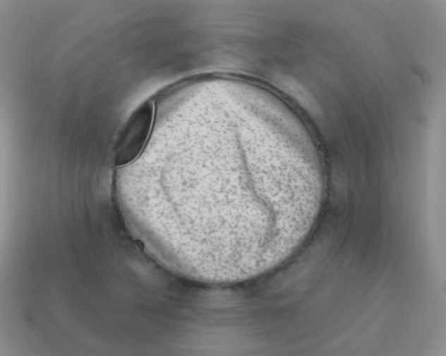 X0000113631316200910162007