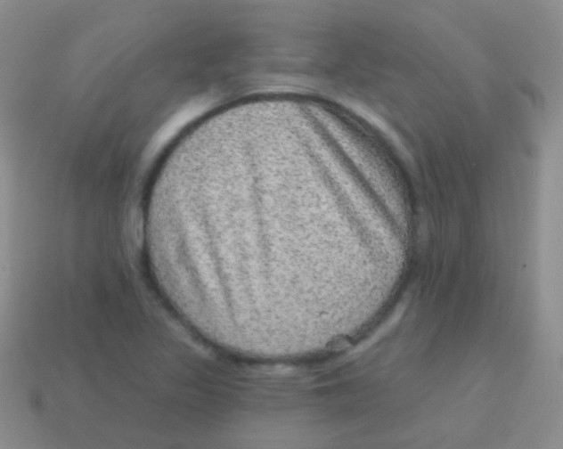 X0000113631317200910162007